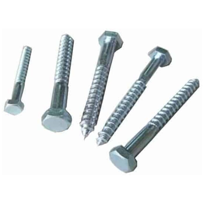 Coach Screws