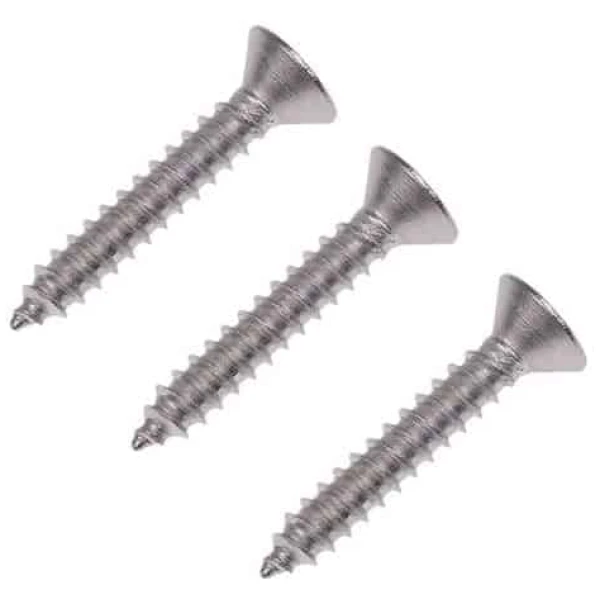 Stainless Steel Self-Tapping Countersunk Screws